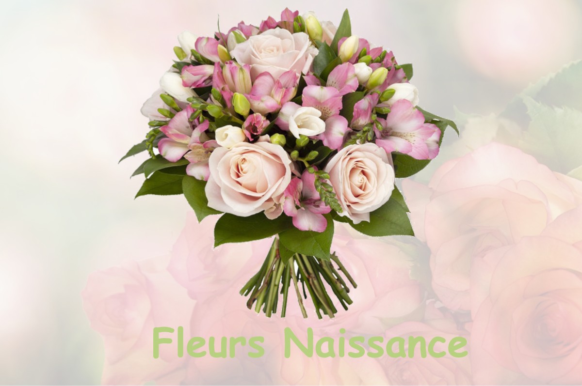 fleurs naissance MOLINOT