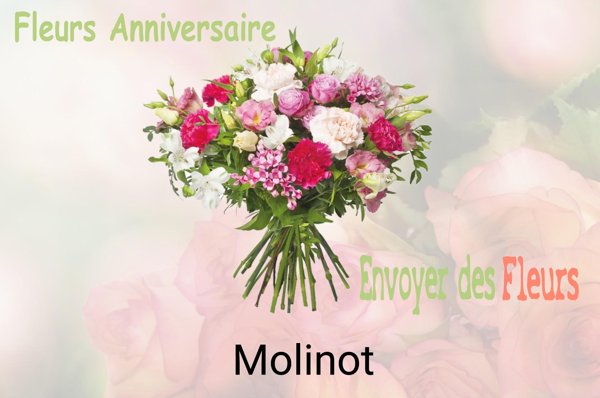 Bouquet de fleurs d’anniversaire livré à Molinot