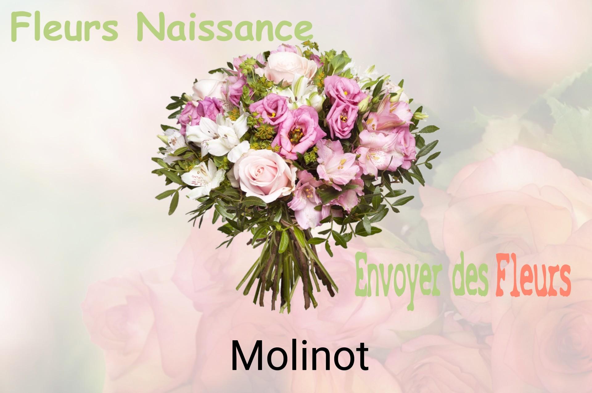Bouquet de fleurs de naissance livré à Molinot