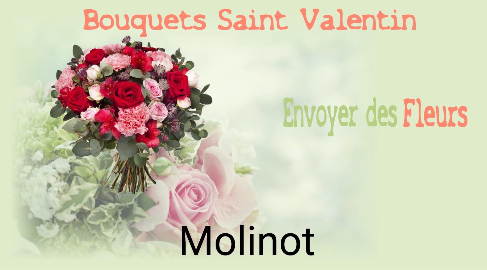 Roses de Saint-Valentin livrées à Molinot