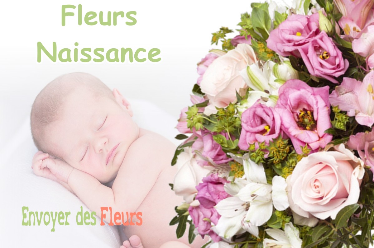 lIVRAISON FLEURS NAISSANCE à MOLINOT