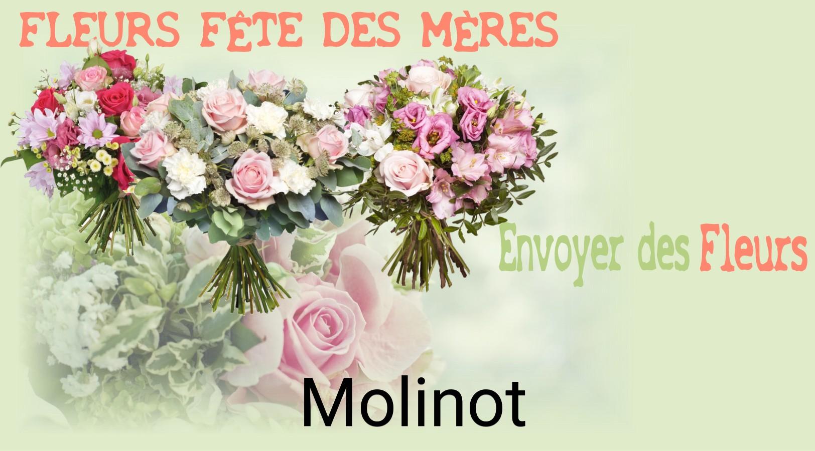 Bouquet de Fête des Mères livré à Molinot
